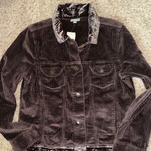 J. Jill Women's Corduroy Jacket in Deep Brown